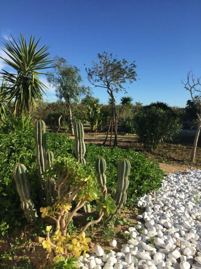 Finca Du Ressourcement Higueron Apartman Vejer de la Frontera Kültér fotó