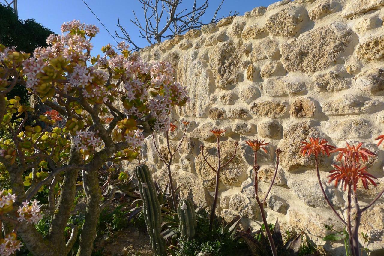Finca Du Ressourcement Higueron Apartman Vejer de la Frontera Kültér fotó