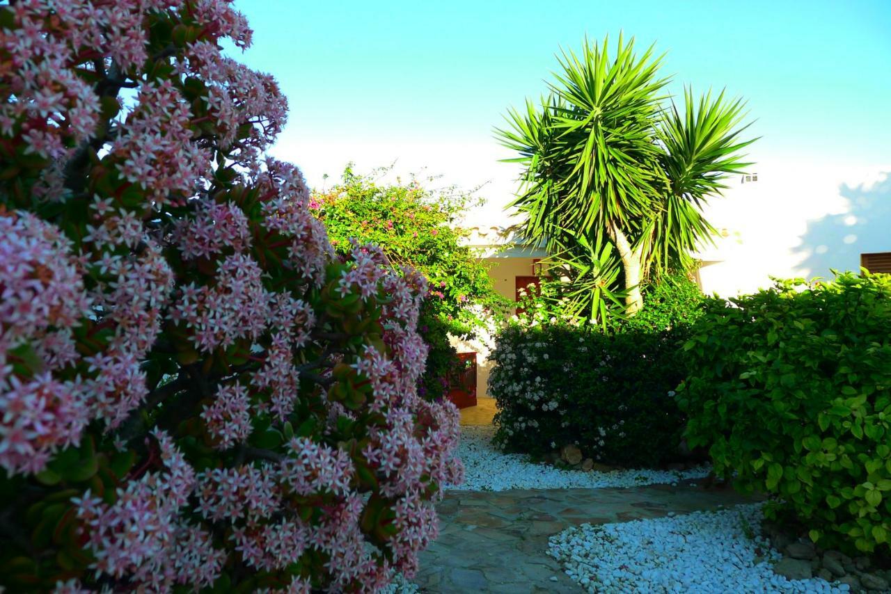 Finca Du Ressourcement Higueron Apartman Vejer de la Frontera Kültér fotó
