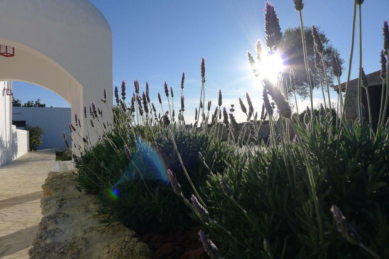 Finca Du Ressourcement Higueron Apartman Vejer de la Frontera Kültér fotó