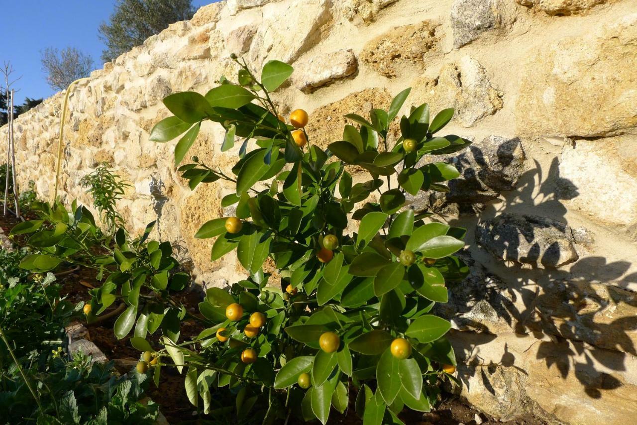 Finca Du Ressourcement Higueron Apartman Vejer de la Frontera Kültér fotó