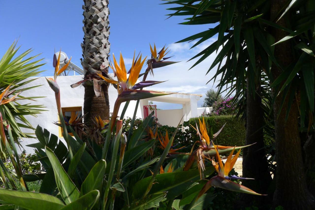 Finca Du Ressourcement Higueron Apartman Vejer de la Frontera Kültér fotó