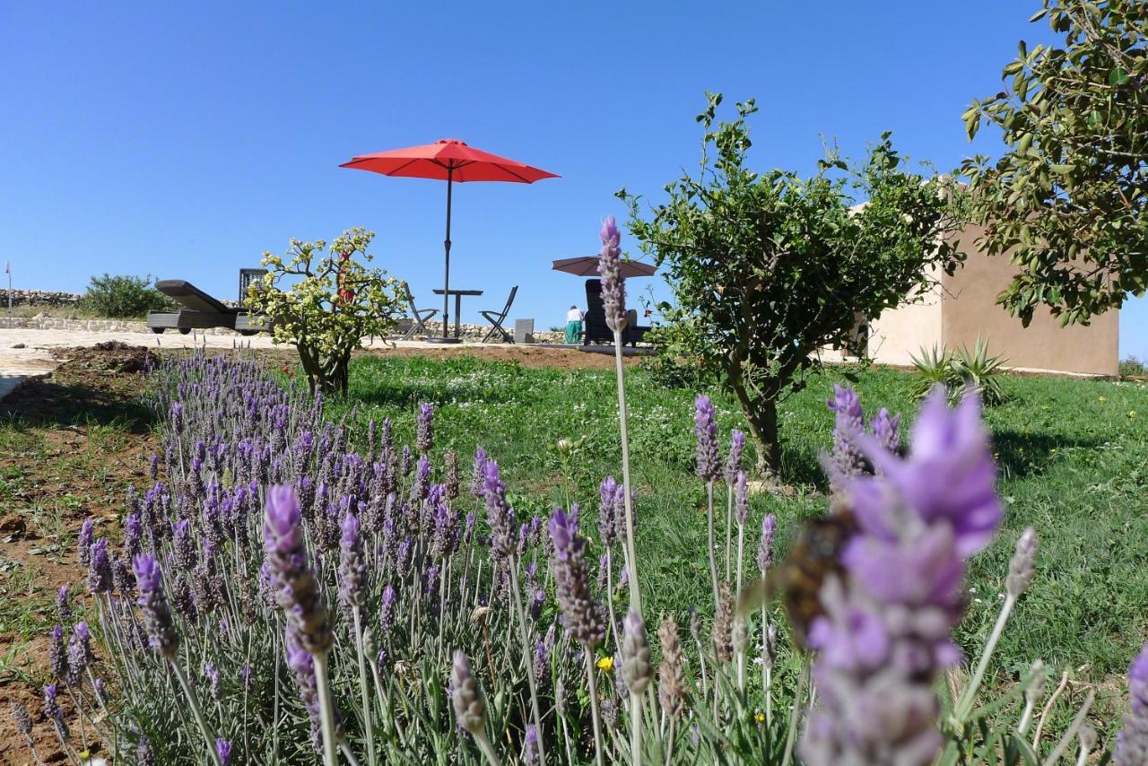 Finca Du Ressourcement Higueron Apartman Vejer de la Frontera Kültér fotó